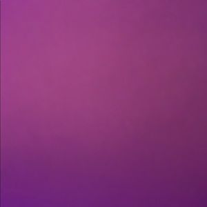 Meet your Posher, Molly